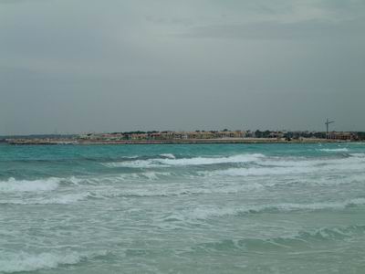 DSCF0055.JPG